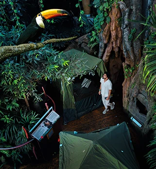 Experiences Camping Rainforest