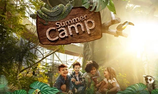 Summer Camp