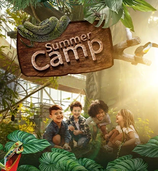 Experiences_Rainforest Summer Camp