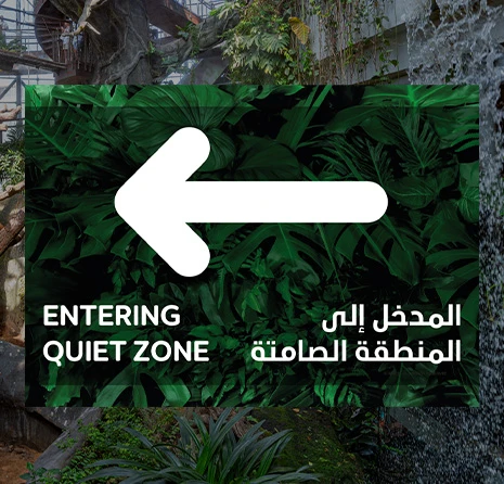 Quiet Zone