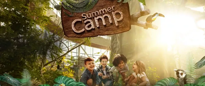 Experiences_Summer camp